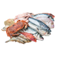 Рыба, морепродукты Рыба, морепродукты
