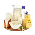 Молочные продукты, яйцо Молочные продукты, яйцо